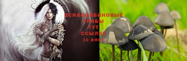 дурь Алексеевка