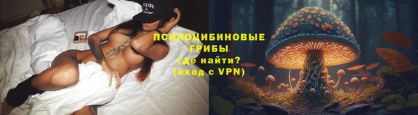 дурь Алексеевка