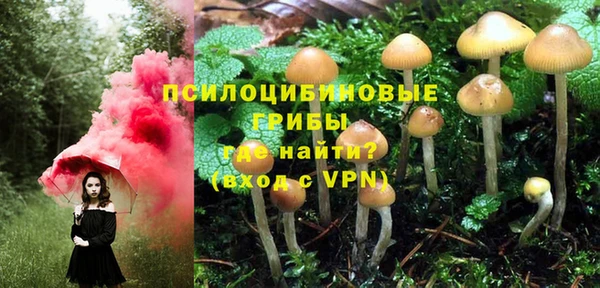 мдпв Алексин